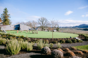 Lawn area overlooking the vineyards at Abbey Road Farms in Carlton, OR